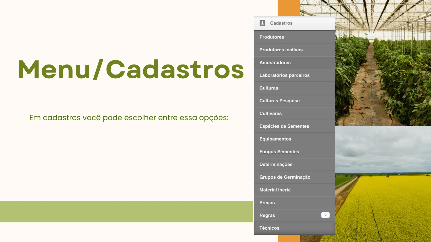 Tela real do SISLAB — Cadastros